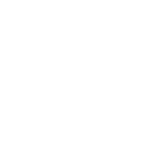 Logo d'une fusée pour notre service de référencement SEO.