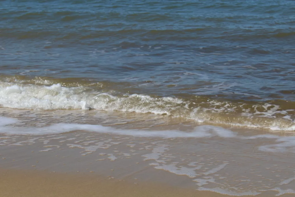 Photo des vagues qui se cassent sur le bord de la plage.