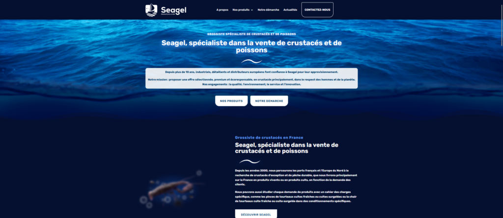 Image du site Seagel